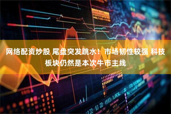 网络配资炒股 尾盘突发跳水！市场韧性较强 科技板块仍然是本次牛市主线
